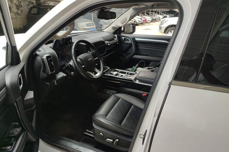 Used Haval DARGO 2021 1.5T DCT Two-Wheel Drive "Mǎquǎn" Edition Left Front Seat