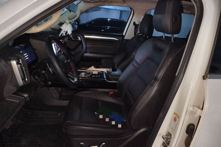 Used Haval DARGO 2021 1.5T DCT Two-Wheel Drive Border Collie - Wangcai Edition Left Front Seat