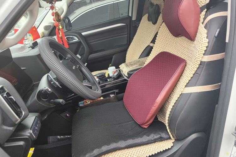 Used Haval DARGO 2021 2.0T DCT Two-Wheel Drive Chinese Mastiff Edition Left Front Seat