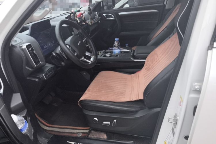 Used Haval DARGO 2021 1.5T DCT Two-Wheel Drive Border Collie Edition Left Front Seat