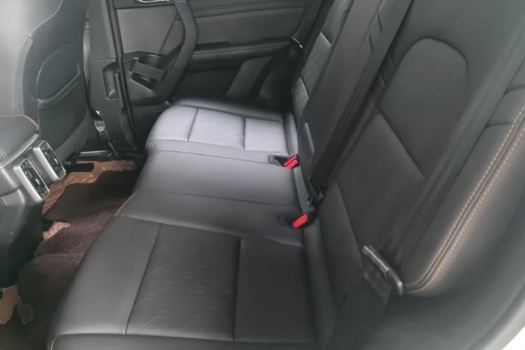 Used Haval DARGO 2021 1.5T DCT Two-Wheel Drive Labrador Edition Left Rear Seat