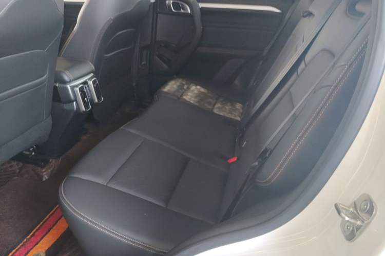 Used Haval DARGO 2021 1.5T DCT Two-Wheel Drive Border Collie Edition Left Rear Seat