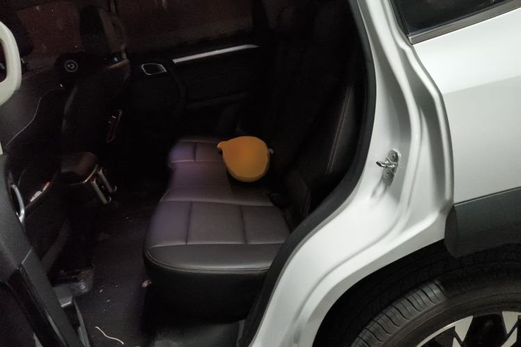 Used Haval DARGO 2021 1.5T DCT Two-Wheel Drive "Mǎquǎn" Edition Left Rear Seat