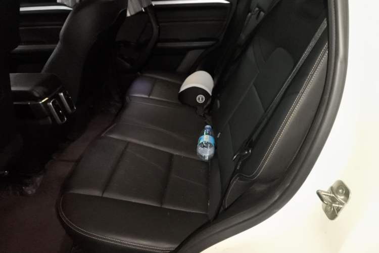 Used Haval DARGO 2021 1.5T DCT Two-Wheel Drive Border Collie Edition Left Rear Seat