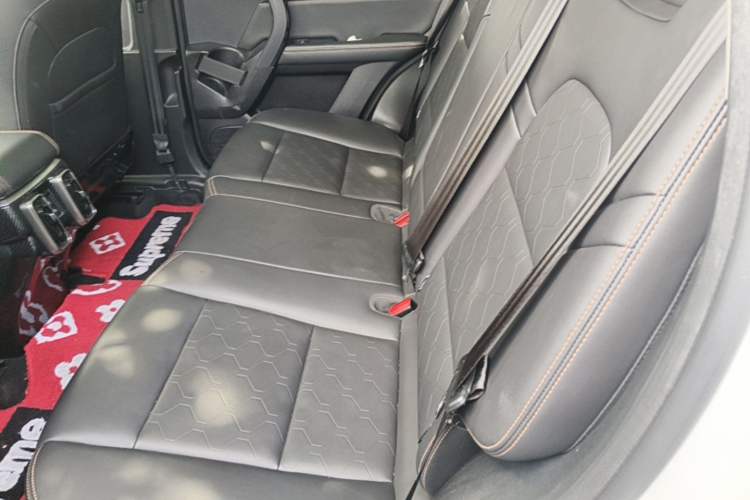 Used Haval DARGO 2021 1.5T DCT Two-Wheel Drive "Mǎquǎn" Edition Left Rear Seat