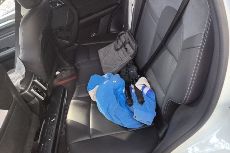Used Haval DARGO 2021 2.0T DCT All-Wheel-Drive "Hao Tian Quan" Edition Left Rear Seat
