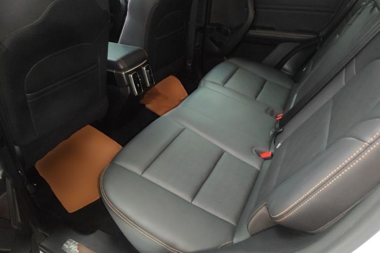 Used Haval DARGO 2021 2.0T DCT 4x4 Chinese Rural Dog Edition Left Rear Seat