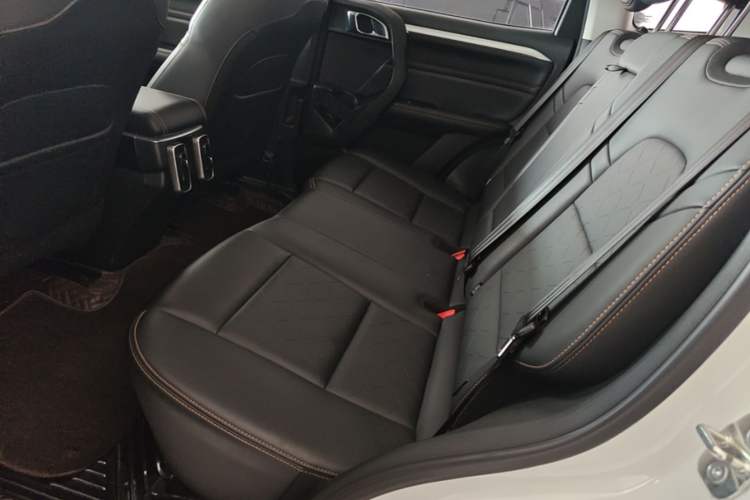 Used Haval DARGO 2021 1.5T DCT Two-Wheel Drive Border Collie - Wangcai Edition Left Rear Seat