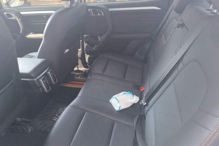 Used Haval DARGO 2021 1.5T DCT Two-Wheel Drive Border Collie Edition Left Rear Seat