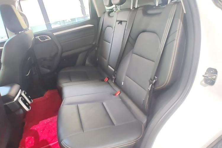 Used Haval DARGO 2021 1.5T DCT Two-Wheel Drive "Mǎquǎn" Edition Left Rear Seat