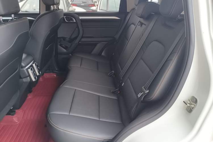 Used Haval DARGO 2021 1.5T DCT Two-Wheel Drive Border Collie Edition Left Rear Seat