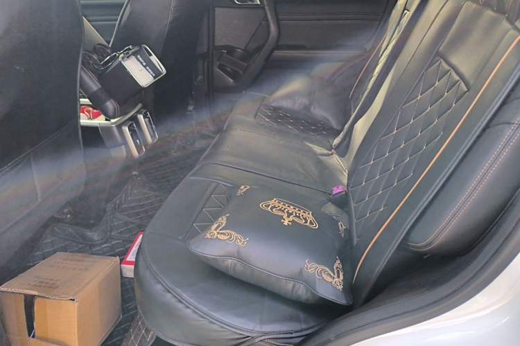 Used Haval DARGO 2021 1.5T DCT Two-Wheel Drive Border Collie Edition Left Rear Seat