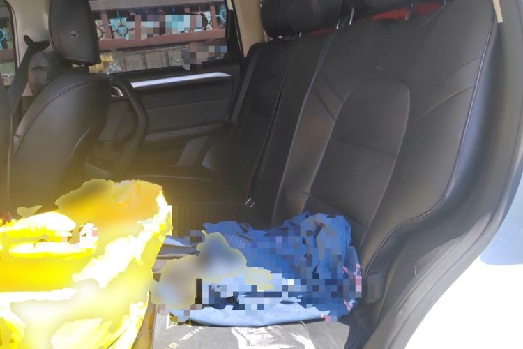 Used Haval DARGO 2021 2.0T DCT Two-Wheel Drive Chinese Mastiff Edition Left Rear Seat