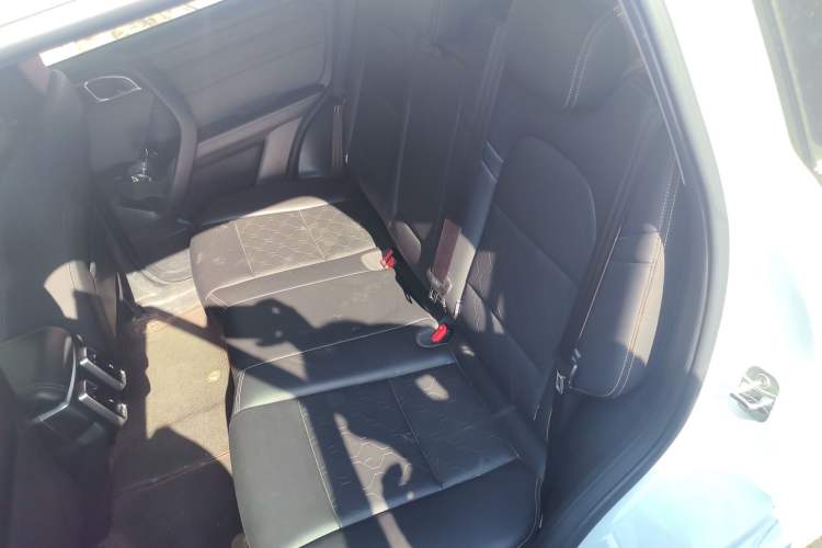 Used Haval DARGO 2021 1.5T DCT Two-Wheel Drive Labrador Edition Left Rear Seat