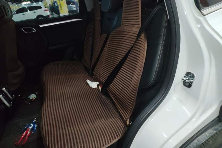 Used Haval DARGO 2021 1.5T DCT Two-Wheel Drive Border Collie Edition Left Rear Seat