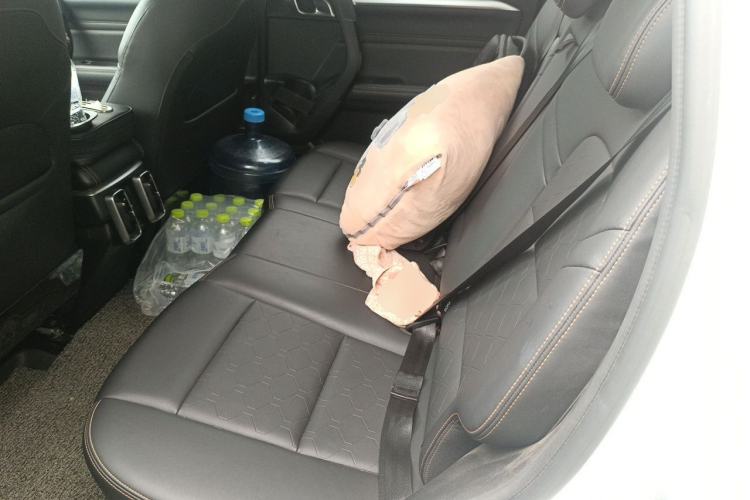 Used Haval DARGO 2021 1.5T DCT Two-Wheel Drive Border Collie Edition Left Rear Seat