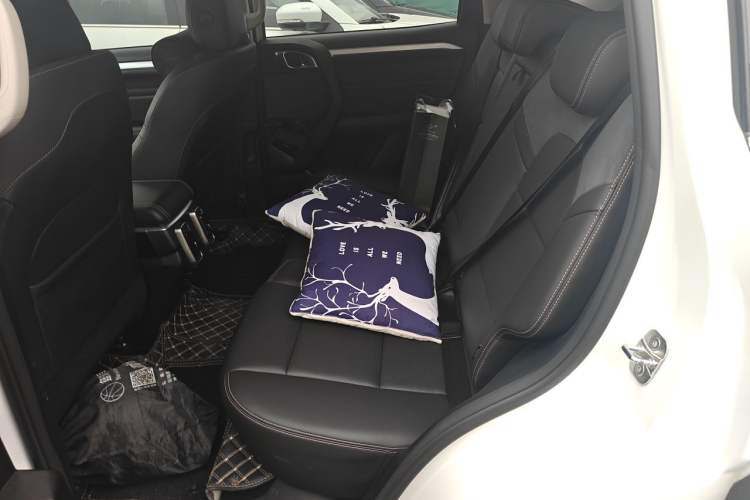 Used Haval DARGO 2021 2.0T DCT All-Wheel-Drive "Hao Tian Quan" Edition Left Rear Seat