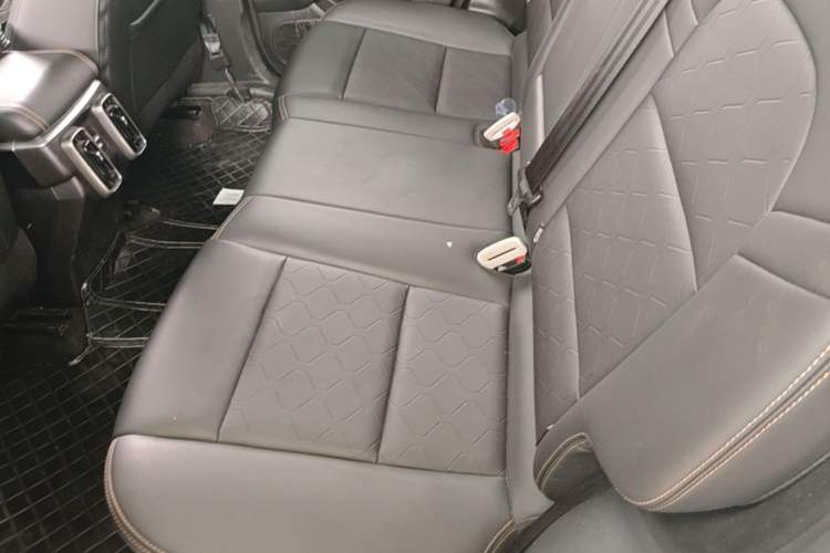Used Haval DARGO 2021 2.0T DCT 4x4 Chinese Rural Dog Edition Left Rear Seat