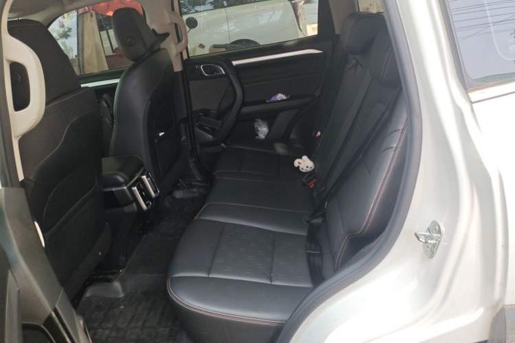 Used Haval DARGO 2021 1.5T DCT Two-Wheel Drive Border Collie Edition Left Rear Seat