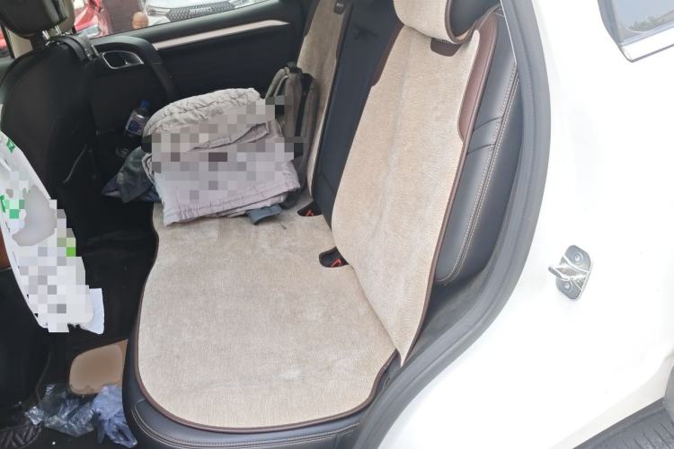 Used Haval DARGO 2021 2.0T DCT 4x4 Chinese Rural Dog Edition Left Rear Seat