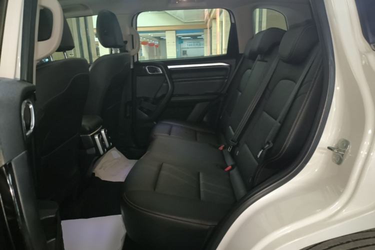 Used Haval DARGO 2021 1.5T DCT Two-Wheel Drive Border Collie - Wangcai Edition Left Rear Seat