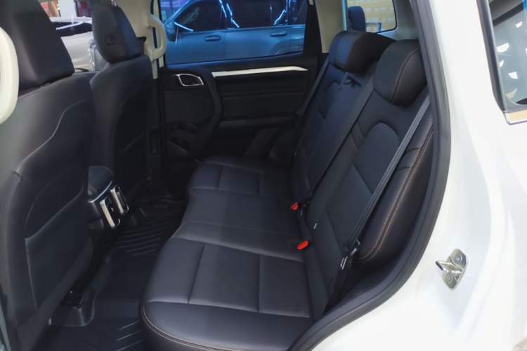 Used Haval DARGO 2021 1.5T DCT Two-Wheel Drive Border Collie - Wangcai Edition Left Rear Seat