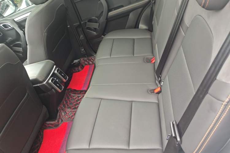 Used Haval DARGO 2021 2.0T DCT All-Wheel-Drive "Hao Tian Quan" Edition Left Rear Seat