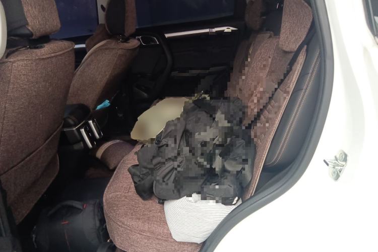Used Haval DARGO 2021 1.5T DCT Two-Wheel Drive Border Collie Edition Left Rear Seat