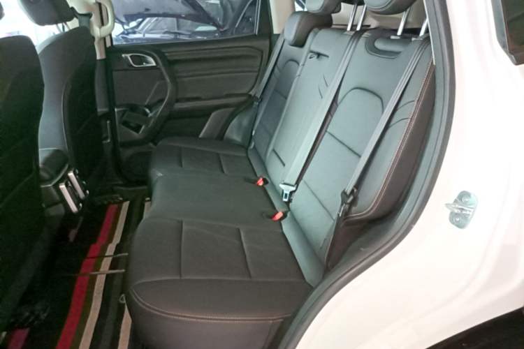 Used Haval DARGO 2021 1.5T DCT Two-Wheel Drive Labrador Edition Left Rear Seat