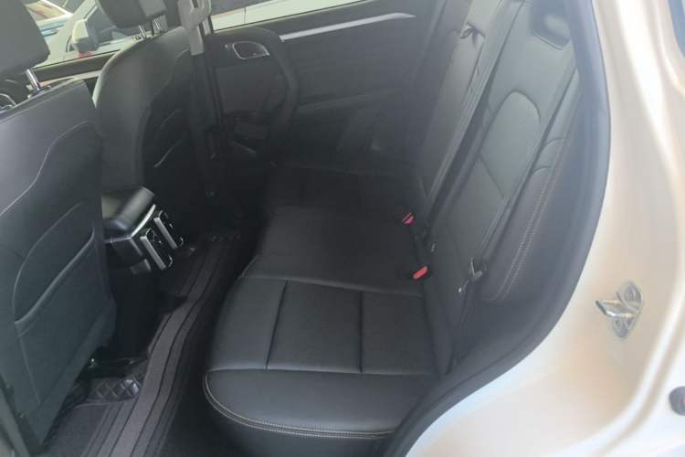 Used Haval DARGO 2021 1.5T DCT Two-Wheel Drive "Mǎquǎn" Edition Left Rear Seat