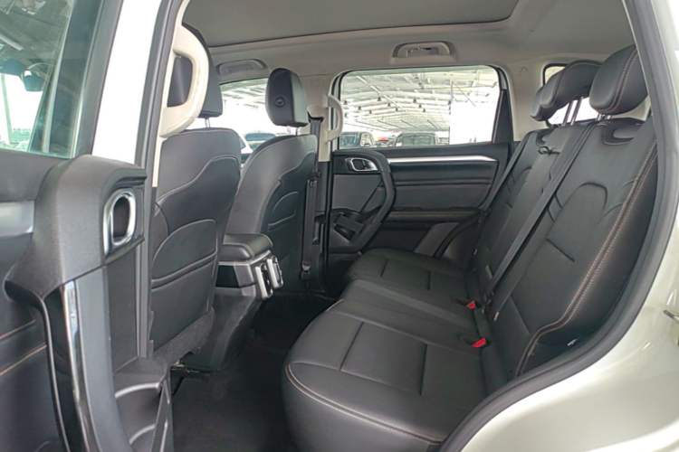 Used Haval DARGO 2021 2.0T DCT 4x4 Chinese Rural Dog Edition Left Rear Seat