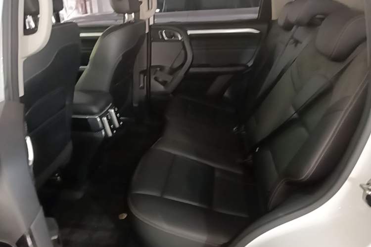 Used Haval DARGO 2021 2.0T DCT All-Wheel-Drive "Hao Tian Quan" Edition Left Rear Seat