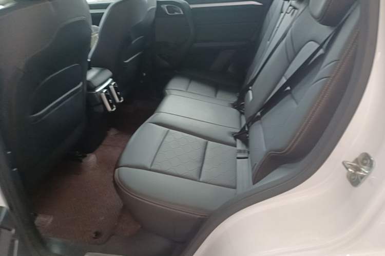 Used Haval DARGO 2021 1.5T DCT Two-Wheel Drive Border Collie Edition Left Rear Seat