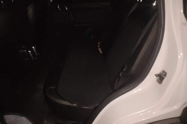 Used Haval DARGO 2021 1.5T DCT Two-Wheel Drive Labrador Edition Left Rear Seat