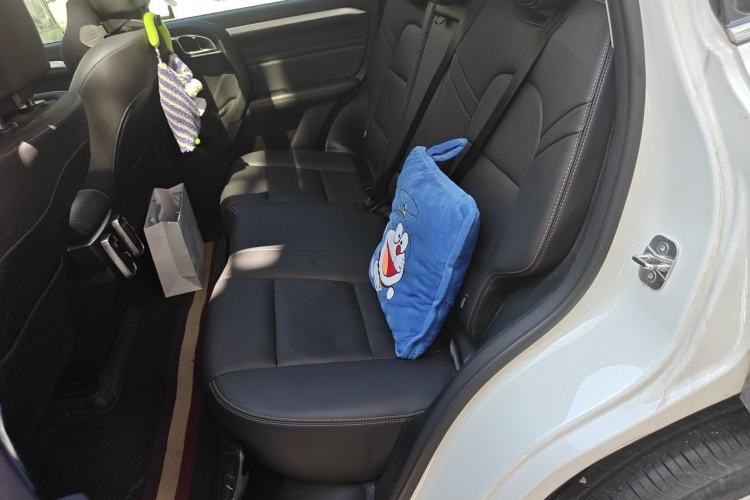 Used Haval DARGO 2021 1.5T DCT Two-Wheel Drive Border Collie Edition Left Rear Seat