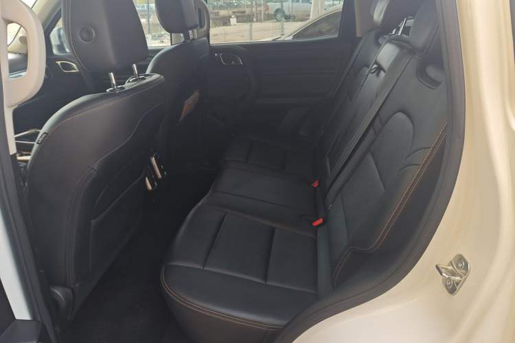 Used Haval DARGO 2021 1.5T DCT Two-Wheel Drive Labrador Edition Left Rear Seat