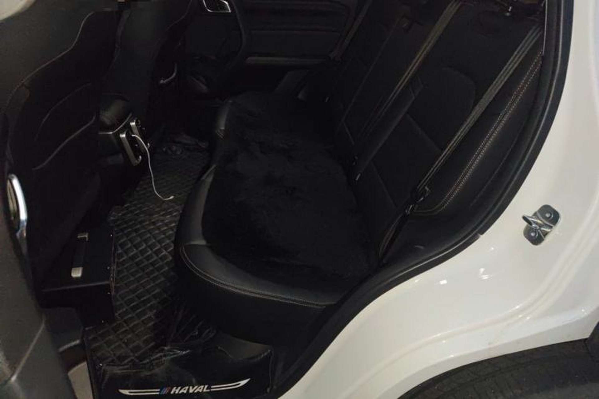 Used Haval DARGO 2021 1.5T DCT Two-Wheel Drive Labrador Edition Left Rear Seat