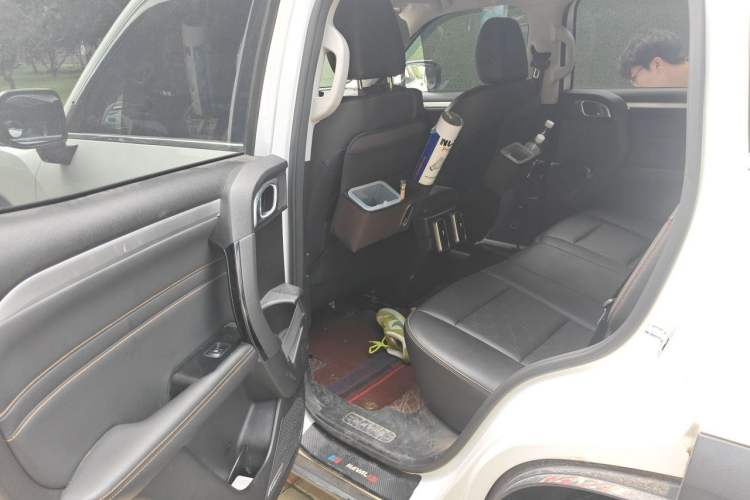 Used Haval DARGO 2021 1.5T DCT Two-Wheel Drive Border Collie Edition Left Rear Seat