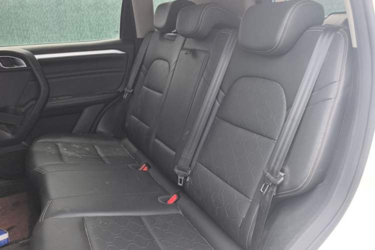 Used Haval DARGO 2021 2.0T DCT 4x4 Chinese Rural Dog Edition Left Rear Seat
