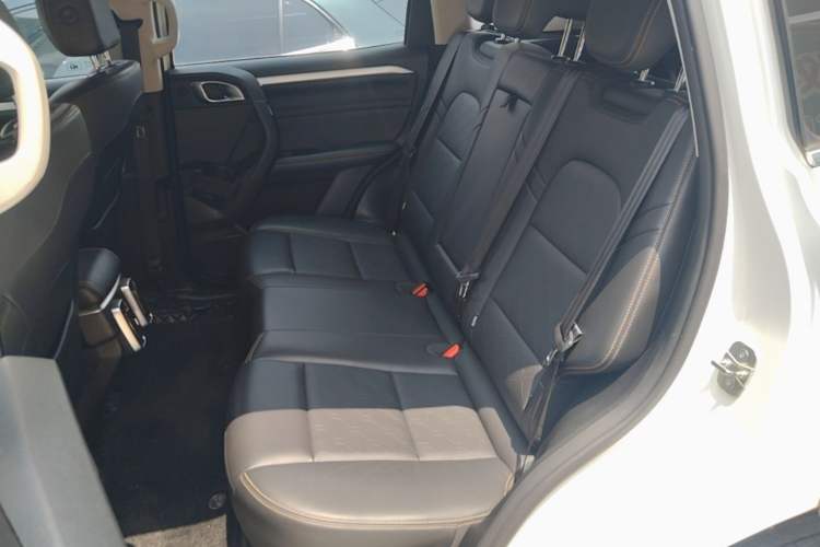 Used Haval DARGO 2021 2.0T DCT 4x4 Chinese Rural Dog Edition Left Rear Seat