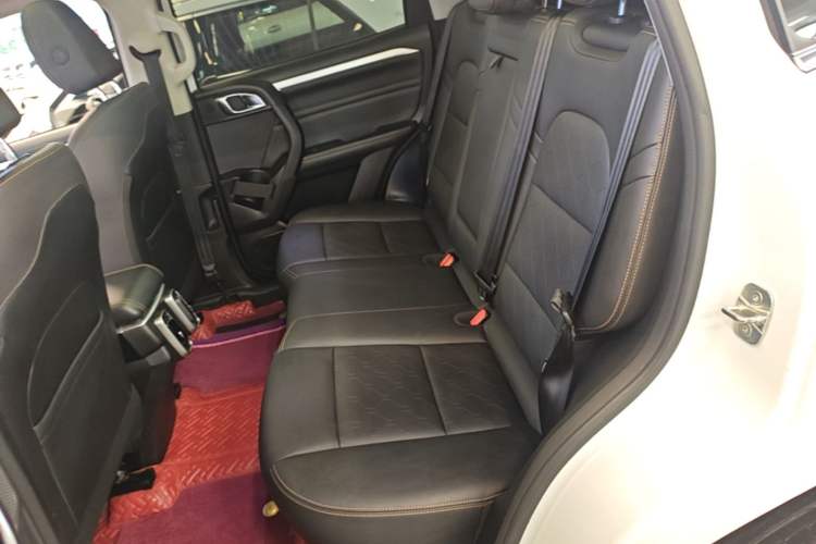 Used Haval DARGO 2021 1.5T DCT Two-Wheel Drive "Mǎquǎn" Edition Left Rear Seat