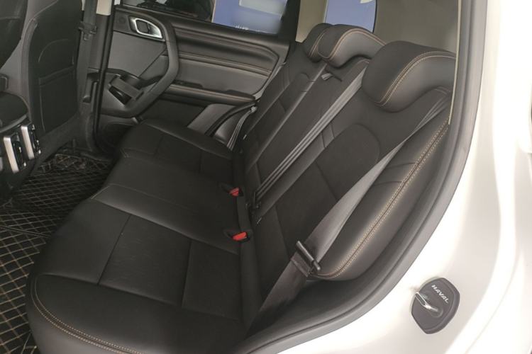Used Haval DARGO 2021 1.5T DCT Two-Wheel Drive Labrador Edition Left Rear Seat