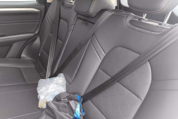 Used Haval DARGO 2021 1.5T DCT Two-Wheel Drive "Mǎquǎn" Edition Left Rear Seat