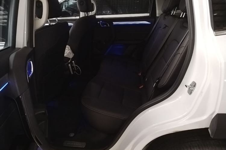 Used Haval DARGO 2021 2.0T DCT Two-Wheel Drive Chinese Mastiff Edition Left Rear Seat