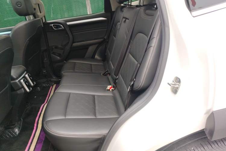 Used Haval DARGO 2021 1.5T DCT Two-Wheel Drive Border Collie Edition Left Rear Seat