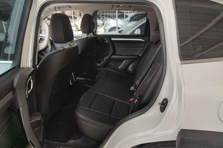 Used Haval DARGO 2021 1.5T DCT Two-Wheel Drive "Mǎquǎn" Edition Left Rear Seat