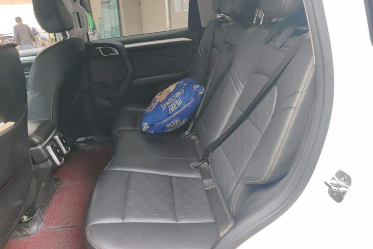 Used Haval DARGO 2021 1.5T DCT Two-Wheel Drive Border Collie Edition Left Rear Seat