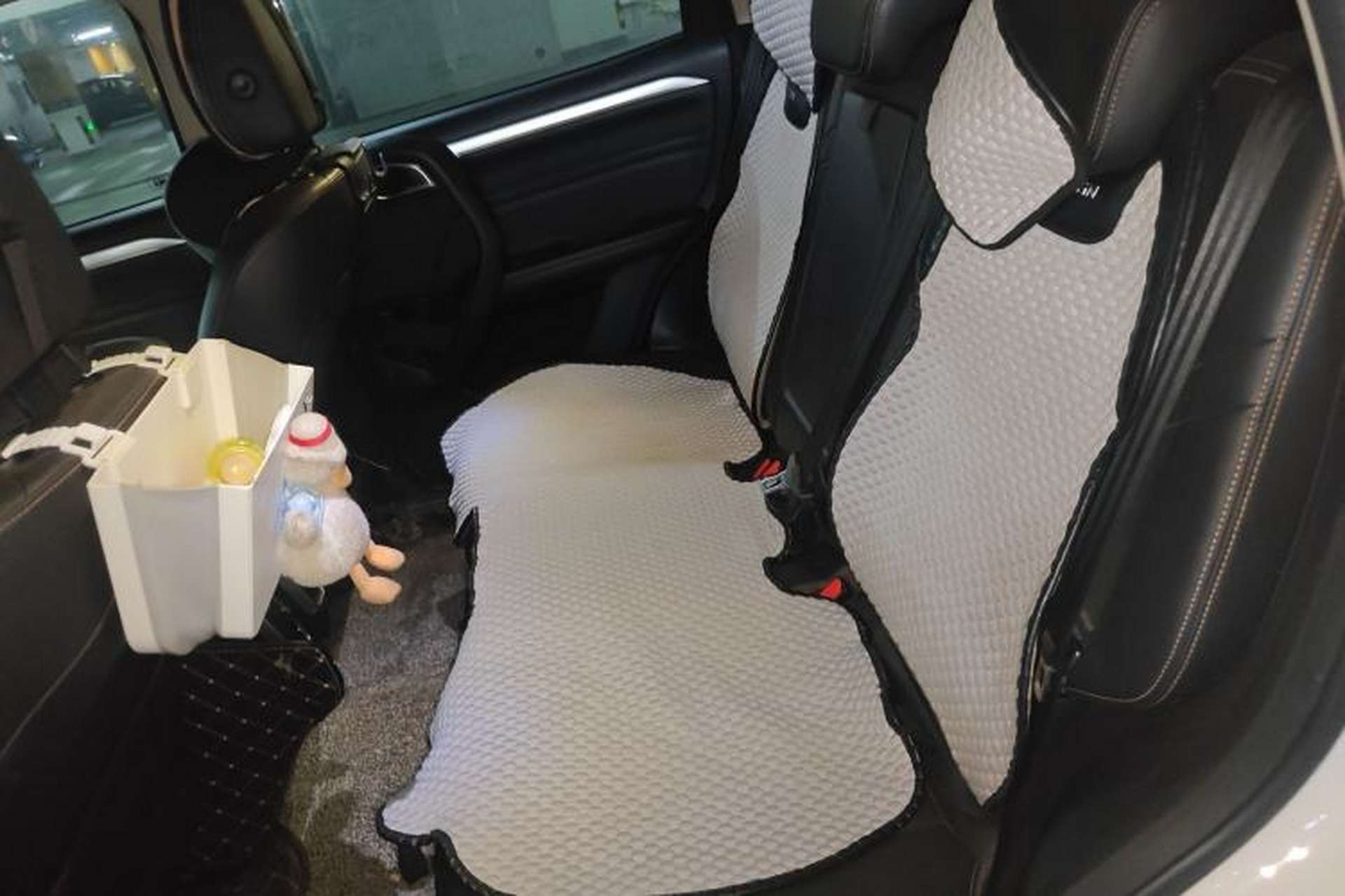 Used Haval DARGO 2021 2.0T DCT 4x4 Chinese Rural Dog Edition Left Rear Seat