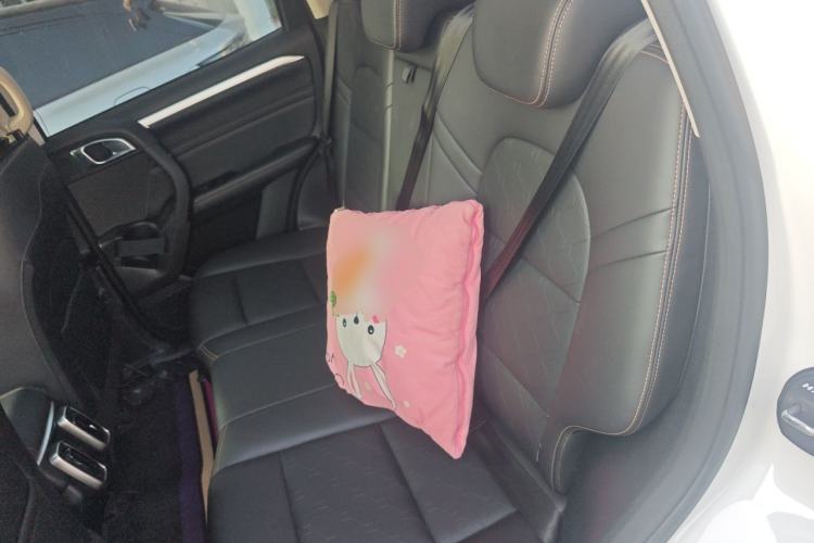 Used Haval DARGO 2021 1.5T DCT Two-Wheel Drive Border Collie - Wangcai Edition Left Rear Seat