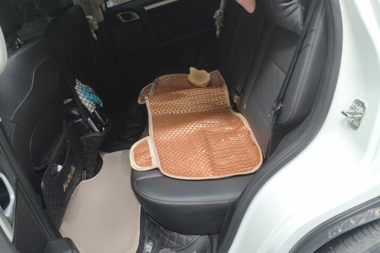 Used Haval DARGO 2021 1.5T DCT Two-Wheel Drive Border Collie Edition Left Rear Seat